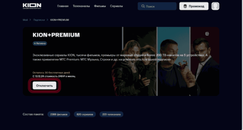Отключение доступа к KION через личный кабинет на официальном сайте сервиса